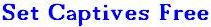 Set The Captives Free